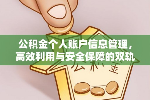鹿谷公积金个人账户信息管理，高效利用与安全保障的双轨并行