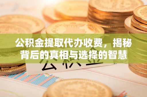 鹿谷公积金提取代办收费，揭秘背后的真相与选择的智慧