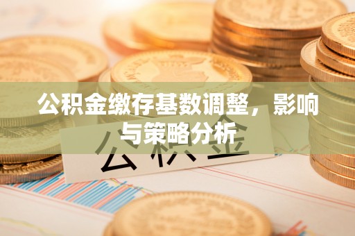 鹿谷公积金缴存基数调整，影响与策略分析