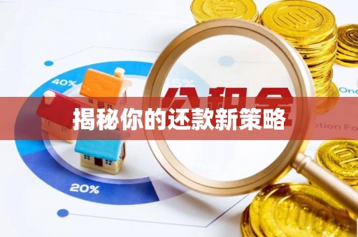 鹿谷揭秘你的还款新策略