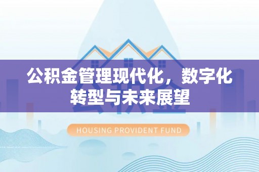 鹿谷公积金管理现代化，数字化转型与未来展望