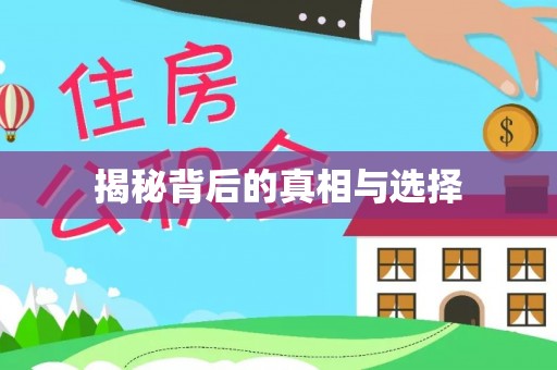 鹿谷揭秘背后的真相与选择