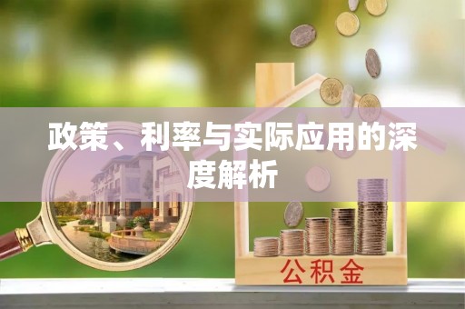 鹿谷政策、利率与实际应用的深度解析