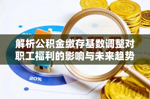 鹿谷解析公积金缴存基数调整对职工福利的影响与未来趋势