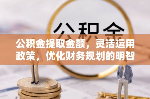 鹿谷公积金提取金额，灵活运用政策，优化财务规划的明智选择