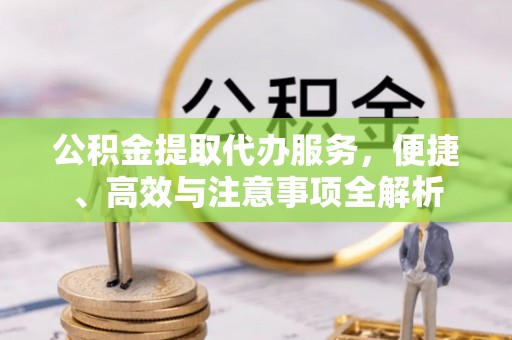 鹿谷公积金提取代办服务，便捷、高效与注意事项全解析