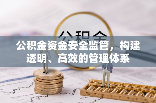 鹿谷公积金资金安全监管，构建透明、高效的管理体系