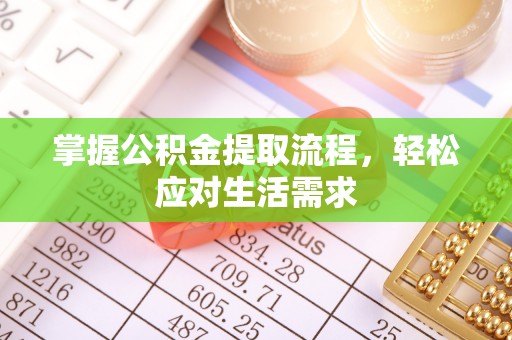 鹿谷掌握公积金提取流程，轻松应对生活需求