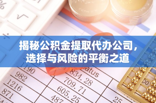 鹿谷揭秘公积金提取代办公司，选择与风险的平衡之道