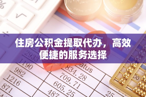鹿谷住房公积金提取代办，高效便捷的服务选择