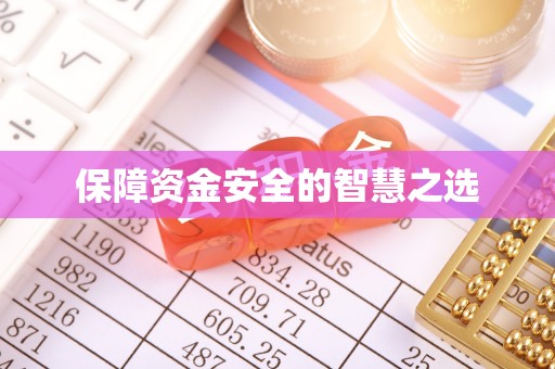鹿谷保障资金安全的智慧之选