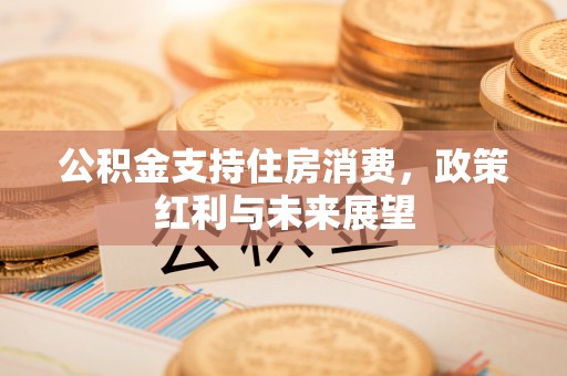 鹿谷公积金支持住房消费，政策红利与未来展望