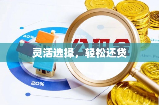 鹿谷灵活选择，轻松还贷