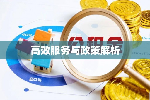 鹿谷高效服务与政策解析