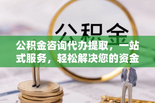 鹿谷公积金咨询代办提取，一站式服务，轻松解决您的资金需求
