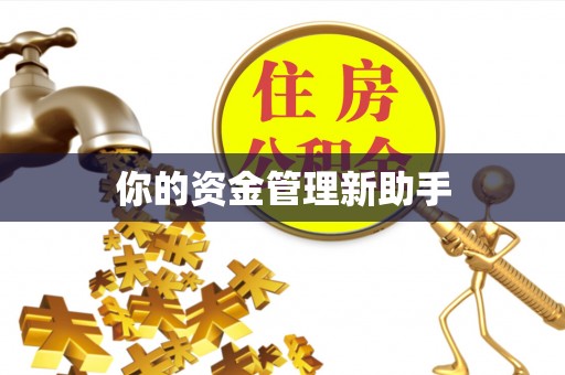 鹿谷你的资金管理新助手