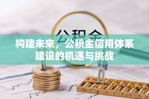 鹿谷构建未来，公积金信用体系建设的机遇与挑战
