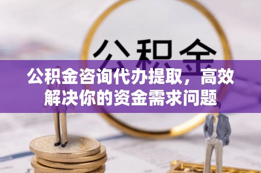 鹿谷公积金咨询代办提取，高效解决你的资金需求问题