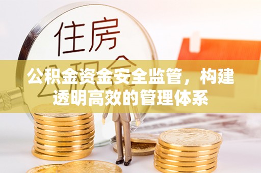 鹿谷公积金资金安全监管，构建透明高效的管理体系