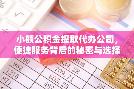 鹿谷小额公积金提取代办公司，便捷服务背后的秘密与选择指南