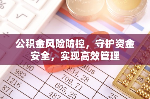 鹿谷公积金风险防控，守护资金安全，实现高效管理