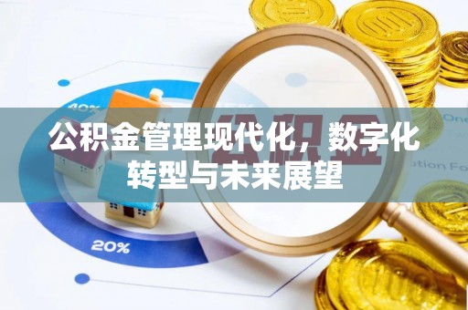 鹿谷公积金管理现代化，数字化转型与未来展望