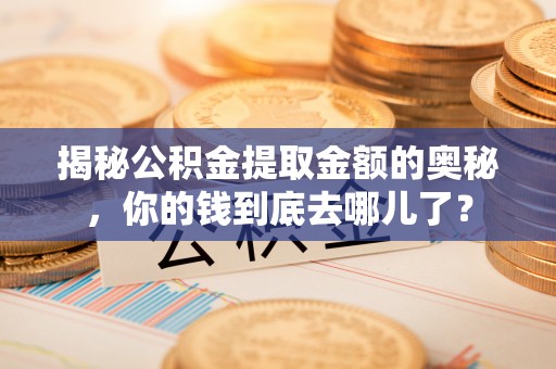鹿谷揭秘公积金提取金额的奥秘，你的钱到底去哪儿了？