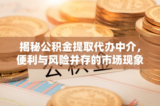 鹿谷揭秘公积金提取代办中介，便利与风险并存的市场现象