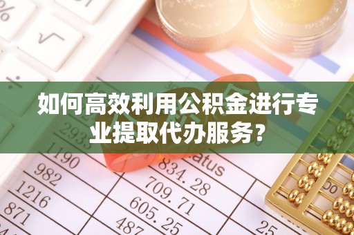 鹿谷如何高效利用公积金进行专业提取代办服务？