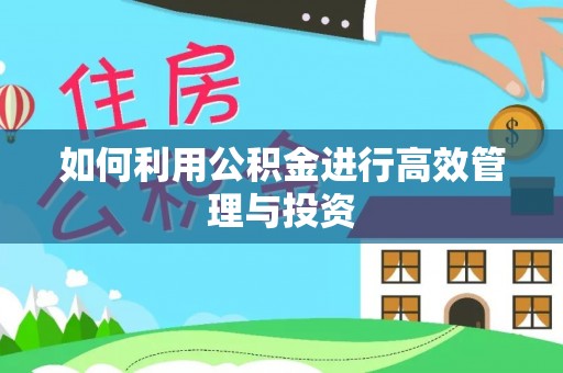 鹿谷如何利用公积金进行高效管理与投资