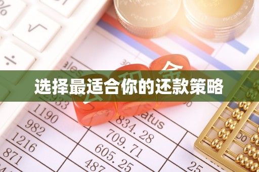 鹿谷选择最适合你的还款策略